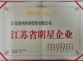 2017江苏省明星企业