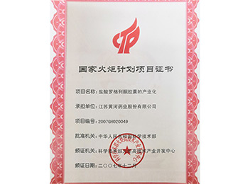 2007 National Torch Program Project Certificate