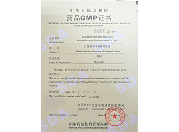 Lozenge workshop passed GMP certification in 2004
